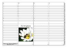 Faltbuch-Honigbiene-3.pdf